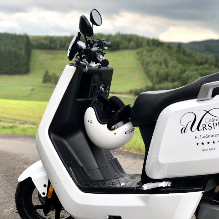 Rental of electric scooters