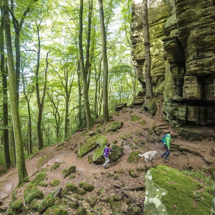 Mullerthal of Luxemburgs klein Zwitserland